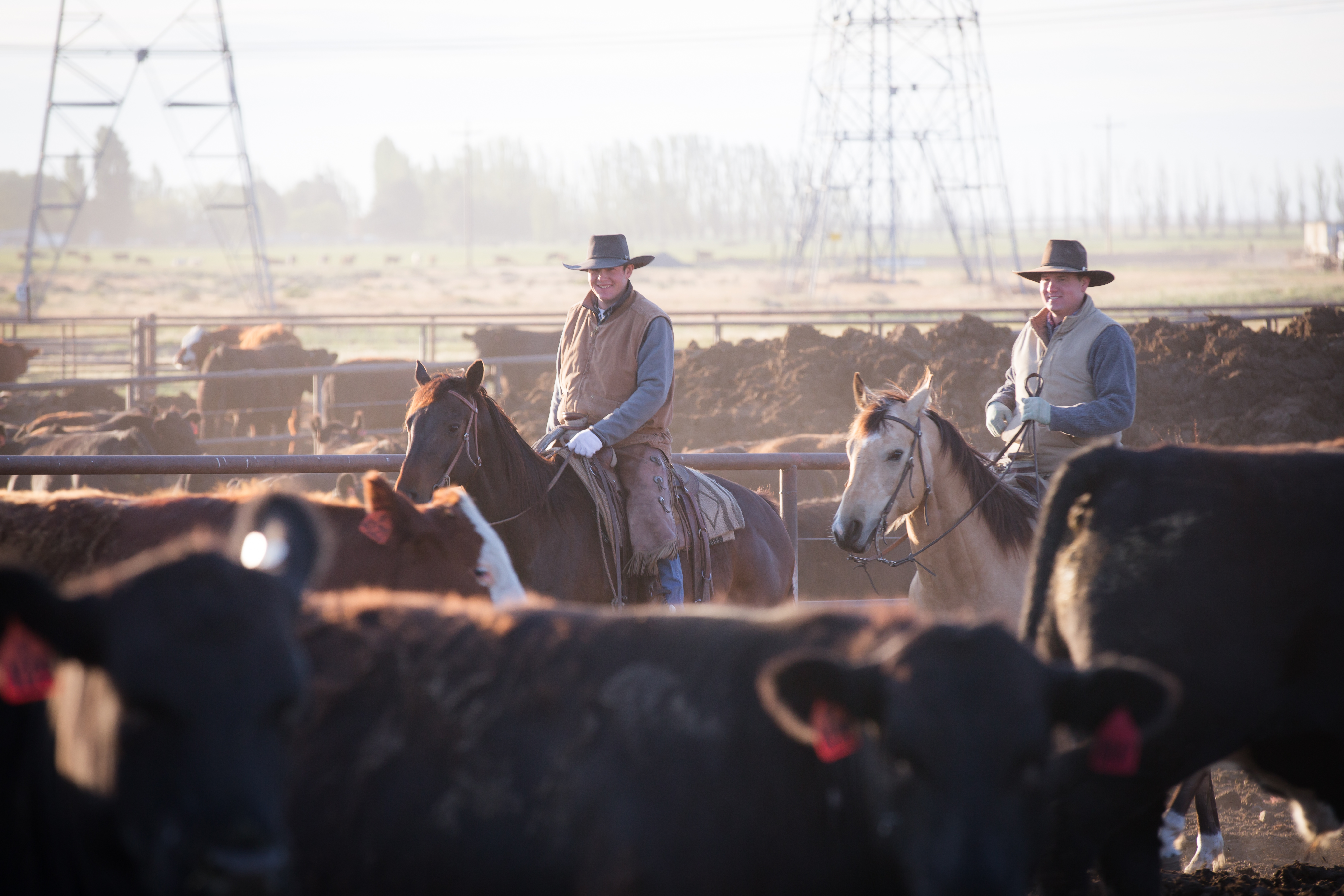 Two cowboys riding pens